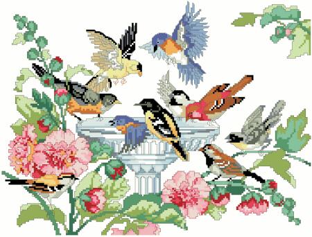 Bird Bath
